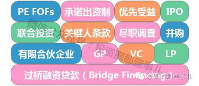 股權(quán)投資與投資管理 解讀現(xiàn)代資本運作的雙翼